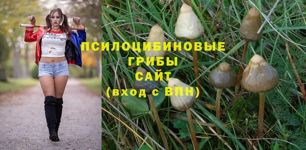 стаф Верея