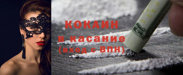 стаф Верея