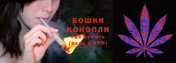 стаф Верея