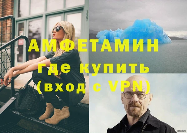 стаф Верея