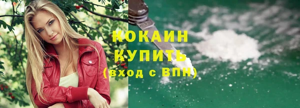 стаф Верея