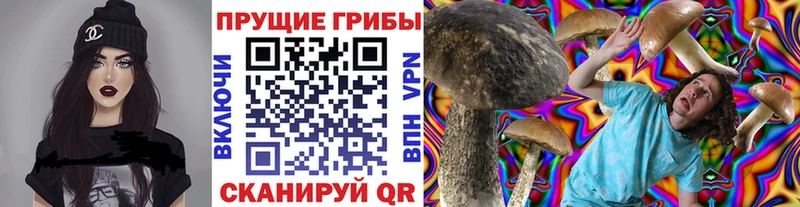 Галлюциногенные грибы мухоморы  Королёв 